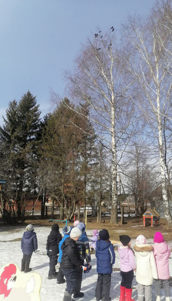 Грачи прилетели
