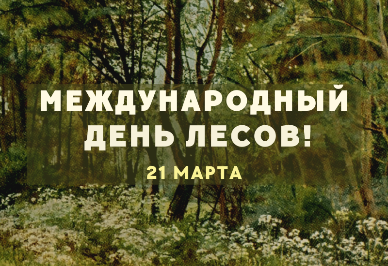 Международный день лесов