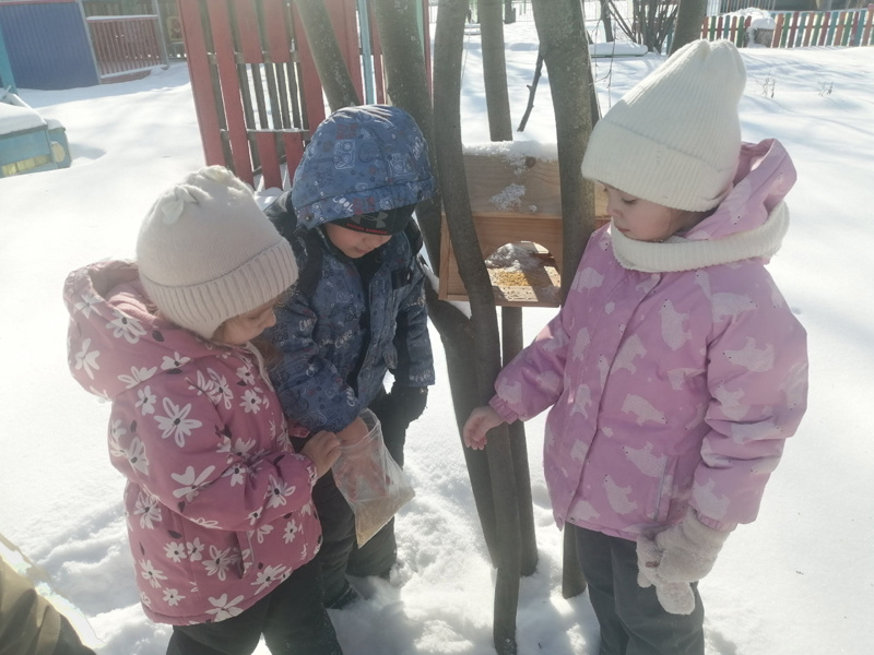 Холодно, голодно птицам. Нужно помочь!