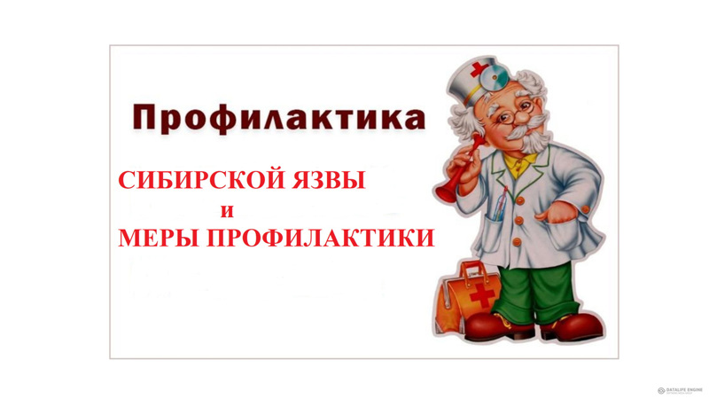 Сибирская  язва и меры профилактики