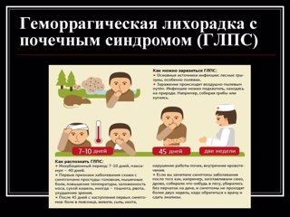 Территориальный отдел Управления Роспотребнадзора по Чувашской Республике информирует