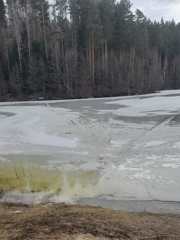 img-20250314-wa0008.jpg