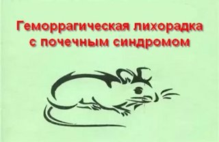 Геморрагическая лихорадка с почечным синдромом.