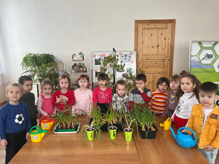 image-16-03-25-17-13.jpeg