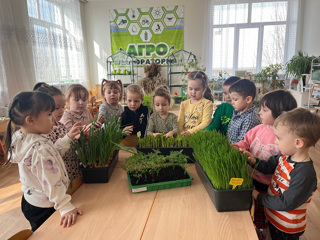 image-16-03-25-17-29.jpeg
