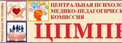 Центральная психолого-медико-педагогическая комиссия (ЦПМПК)