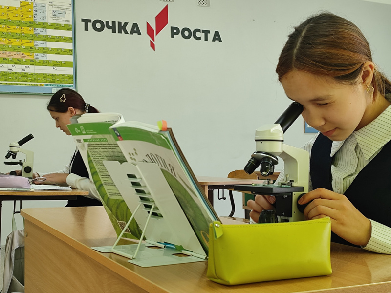 Изучение темы "Лист и стебель как органы дыхания"