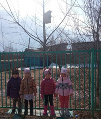 Поможем братьям нашим меньшим!