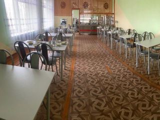 img_7737.jpeg
