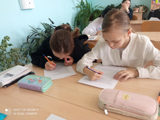 Проведена диагностика по выявлению у школьников девиантного поведения