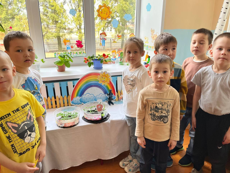 Мы рассаду посадили