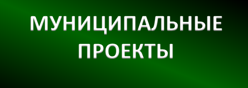 Муниципальные проекты