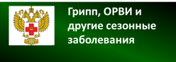 Грипп, ОРВИ и другие сезонные заболевания