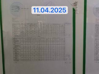 img_7908.jpeg