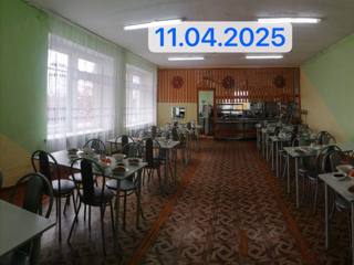 img_7909.jpeg