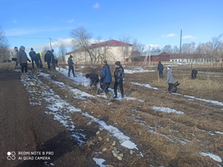 Все на субботник!