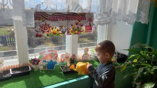 Цветы Победы