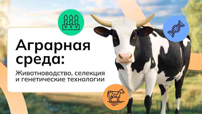 Билет в будущее: Россия аграрная: животноводство, селекция и генетика