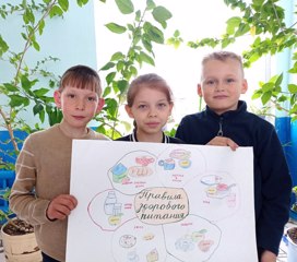 Итоги конкурса «Правила здорового питания»