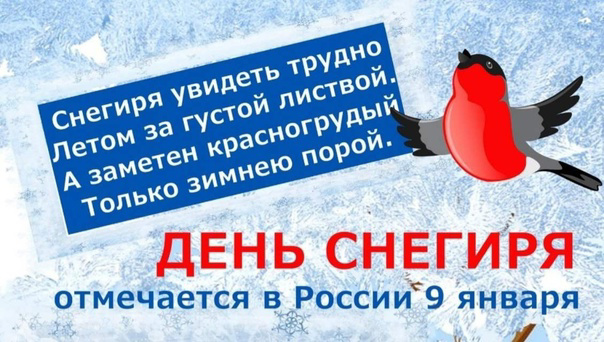 День снегиря