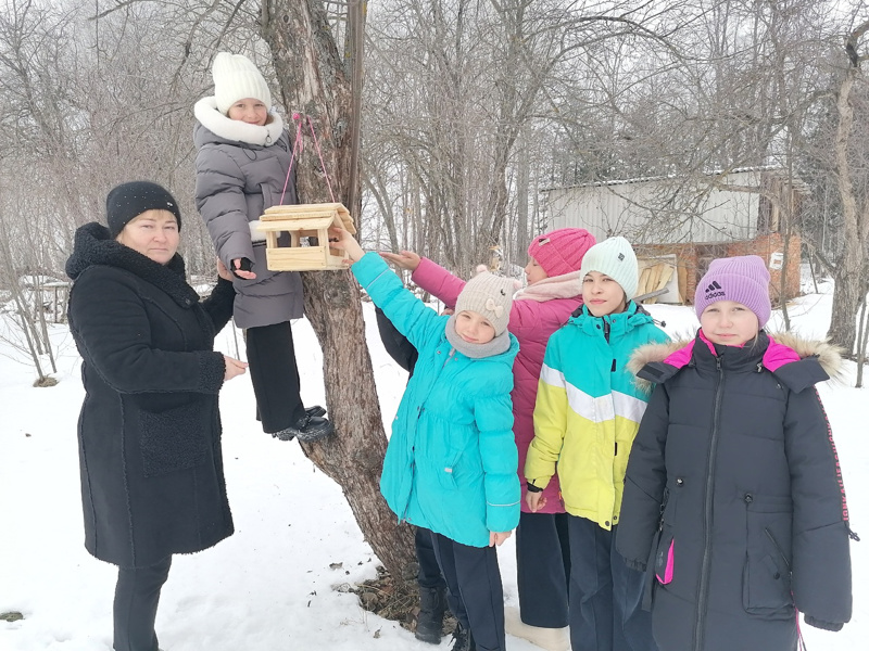 Птичья столовая в школьном саду: история маленького чуда