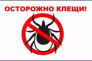 Рекомендации, как защитить детей от клещей