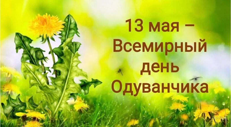 Там и тут, там и тут одуванчики цветут...
