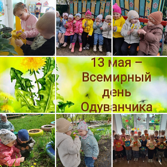Уронило солнце Лучик золотой,☀️ Вырос одуванчик, Первый молодой🌼 У него чудесный Золотистый цвет🌞 Он большого солнца Маленький портрет.