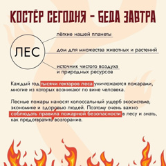 Говорим о важном: как уберечь природу от пожаров.