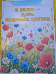 День полевых цветов
