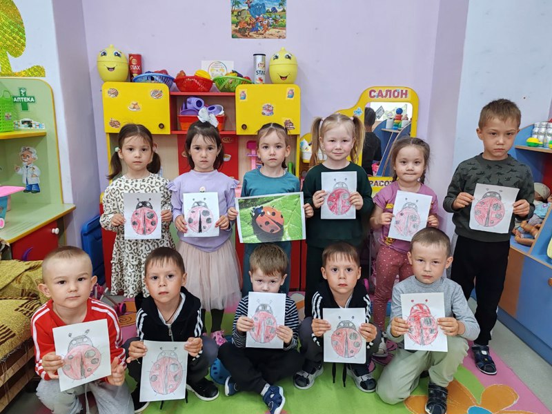 Такие разные насекомые!