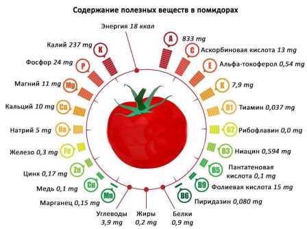 Здоровое питание. Помидоры: зачем есть и как выбирать