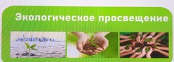 экологическое просвещение