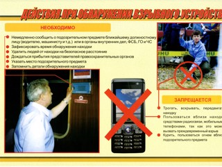 pi008.jpg