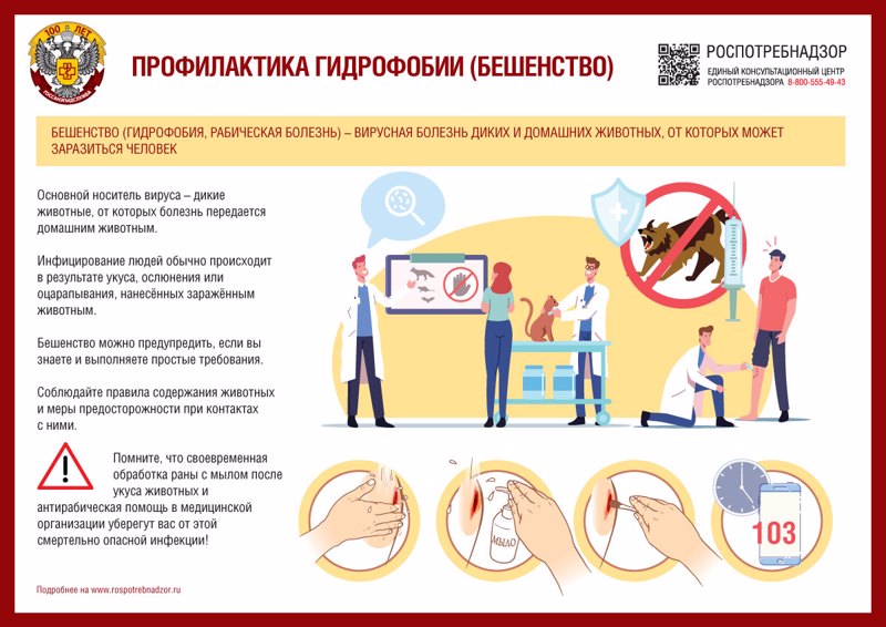Бешенство и меры профилактики