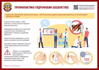 Бешенство и меры профилактики