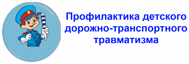 Профилактическое занятие детского дорожно-транспортного травматизма.