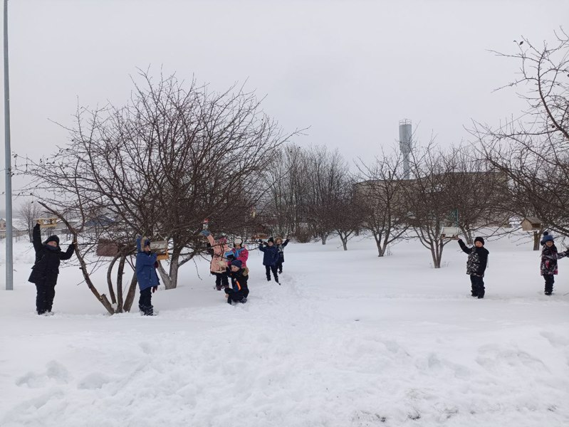 Поможем зимующим  птицам