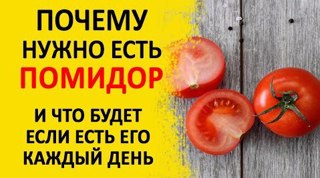Здоровое питание. Помидоры: зачем есть и как выбирать