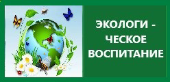 Экологическое воспитание