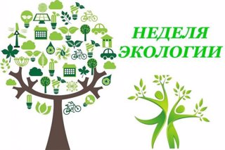 Экологическая тематическая неделя "Праздник летнего леса". Экомода-2025. День картофеля