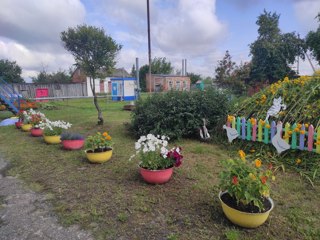 photo_5231155796300136594_y.jpg