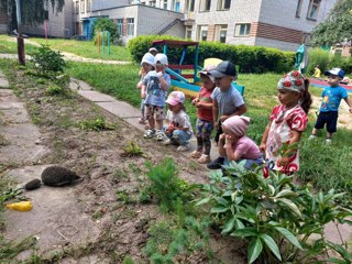 УДИВИТЕЛЬНАЯ  ВСТРЕЧА