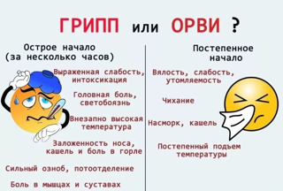ОРВИ, грипп,  коронавирусная инфекция и  меры их профилактики.