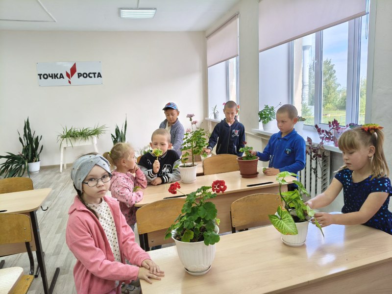 "День цветов" в пришкольном лагере