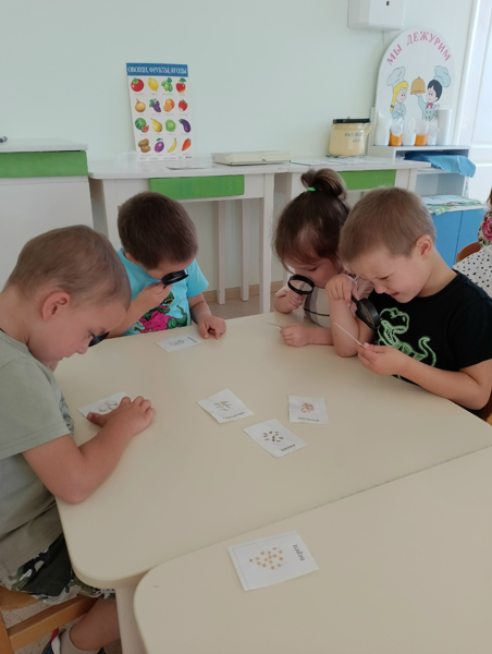 Живые семена