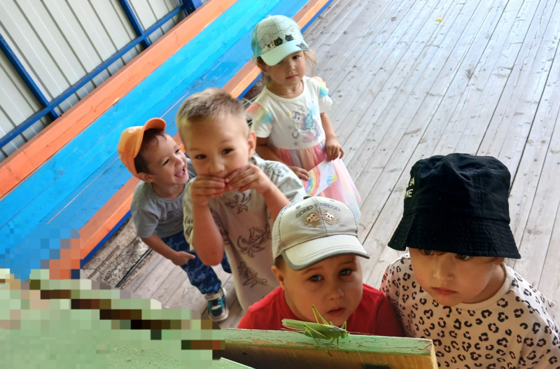 Кузнечик - ну совсем, как человечек!