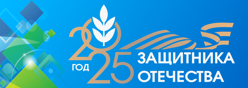 Год защитника Отечества