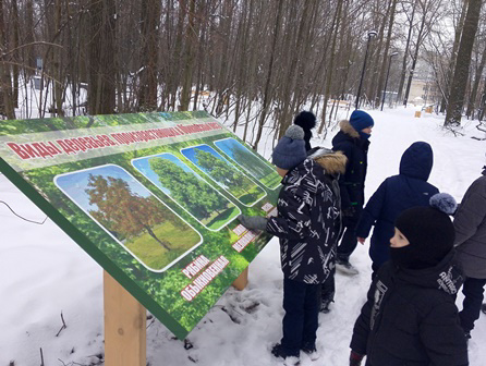 Первоклассники посетили парк Обиковского леса!