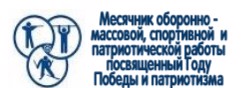 Месячник оборонно - массовой, спортивной  и патриотической работы посвященный Году Победы и патриотизма